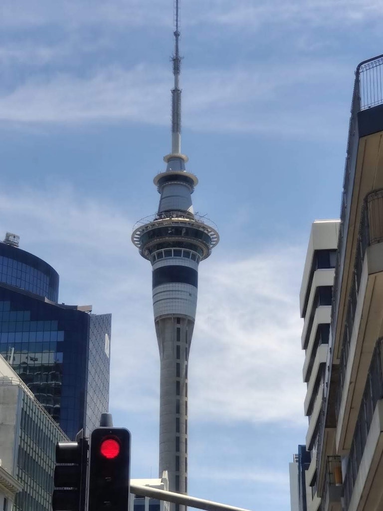 Sky tower view from the street