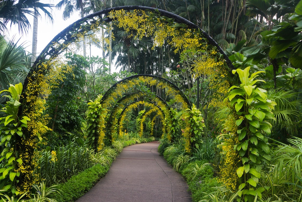 entrance to the botanic garden