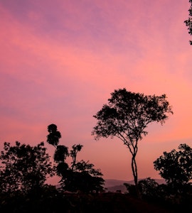 Sunset in Coorg