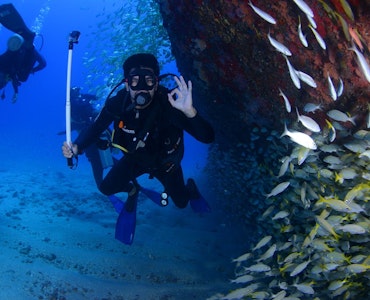 Scuba diving at Maldives