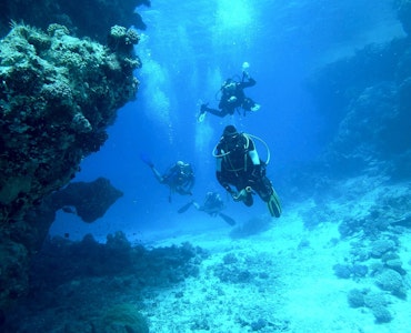 Scuba Diving at Pattaya