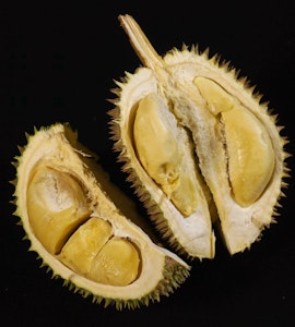 Healthy Durian Fruit