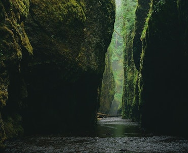 Narrow paths of a Canyon