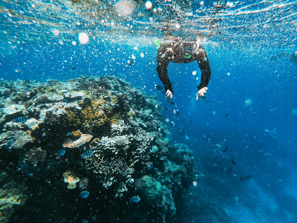 Deep-sea diving in Dubai 