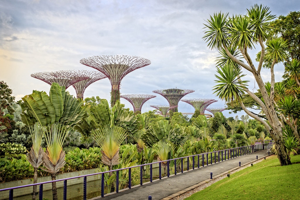 Gardens by the bay, Singapore