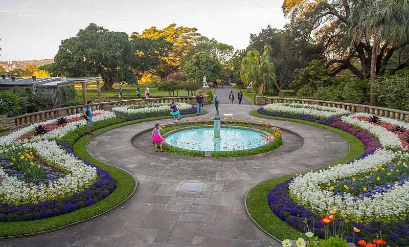 Royal Botanical Garden: Sydney's Colourful Paradise