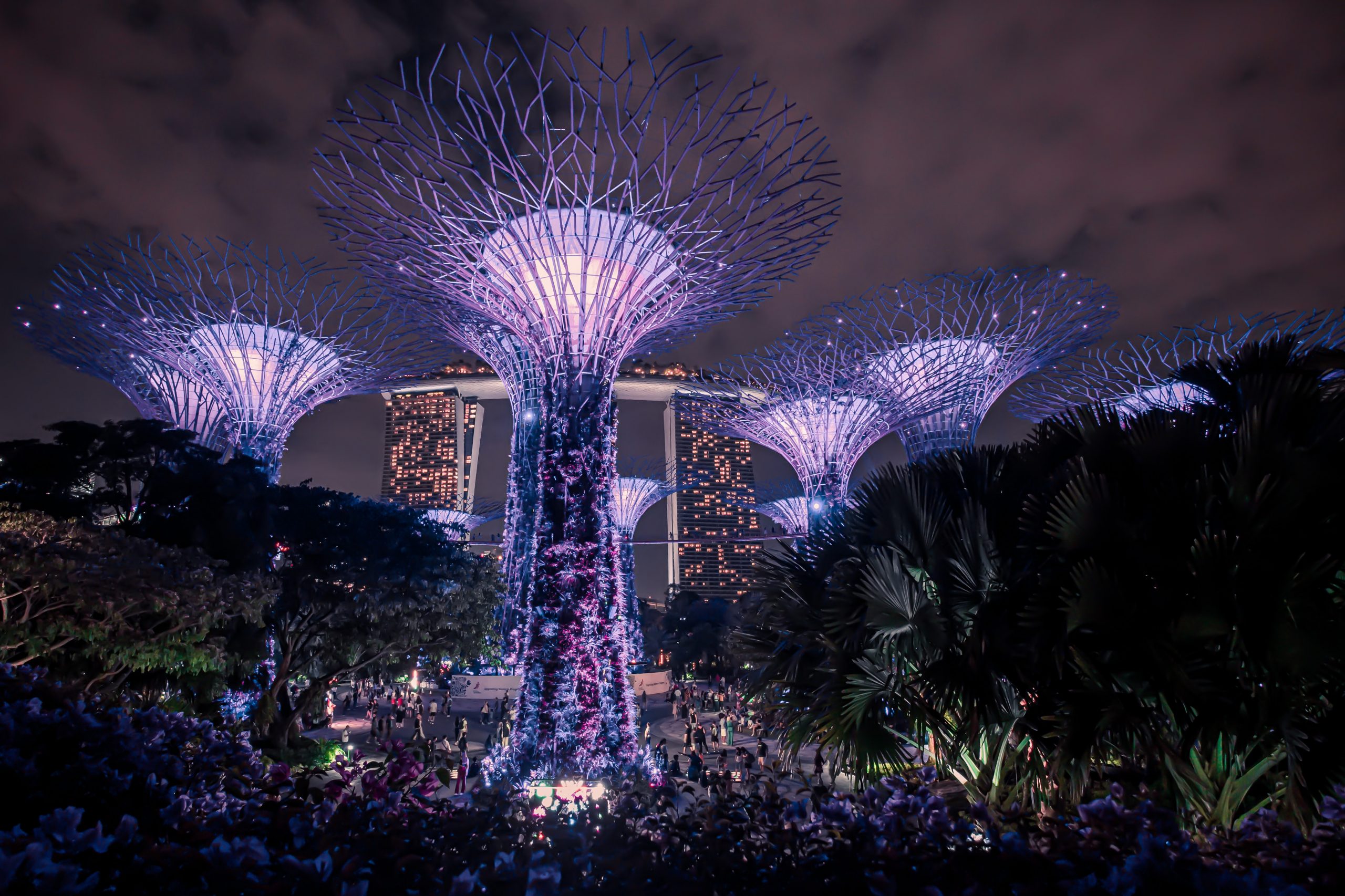 Gardens by the Bay at nighttime, one of the best free things to do in SIngapore
