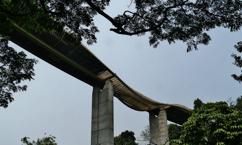 the wavy Henderson bridge in Singapore