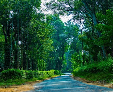 Road to coorg