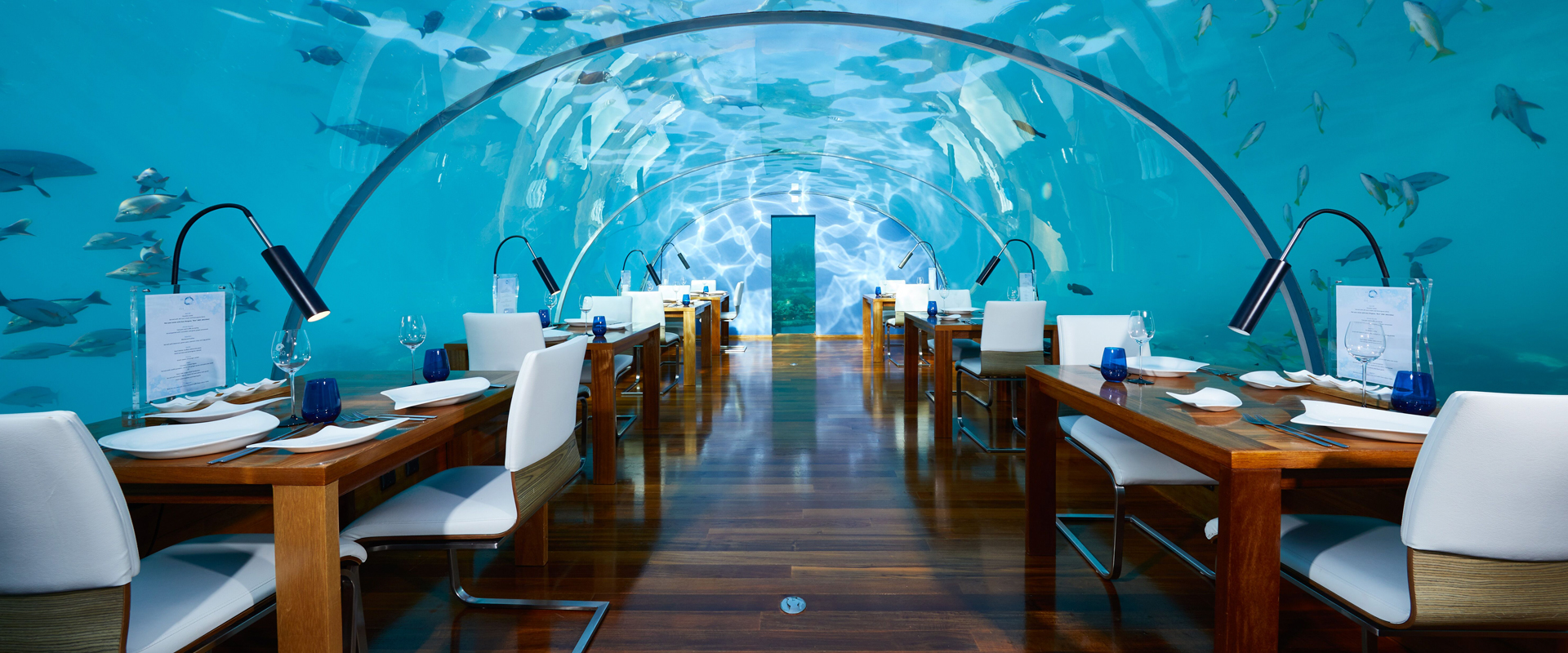 6 Underwater Restaurants To Visit In The Maldives In 2024   Maldives 5 