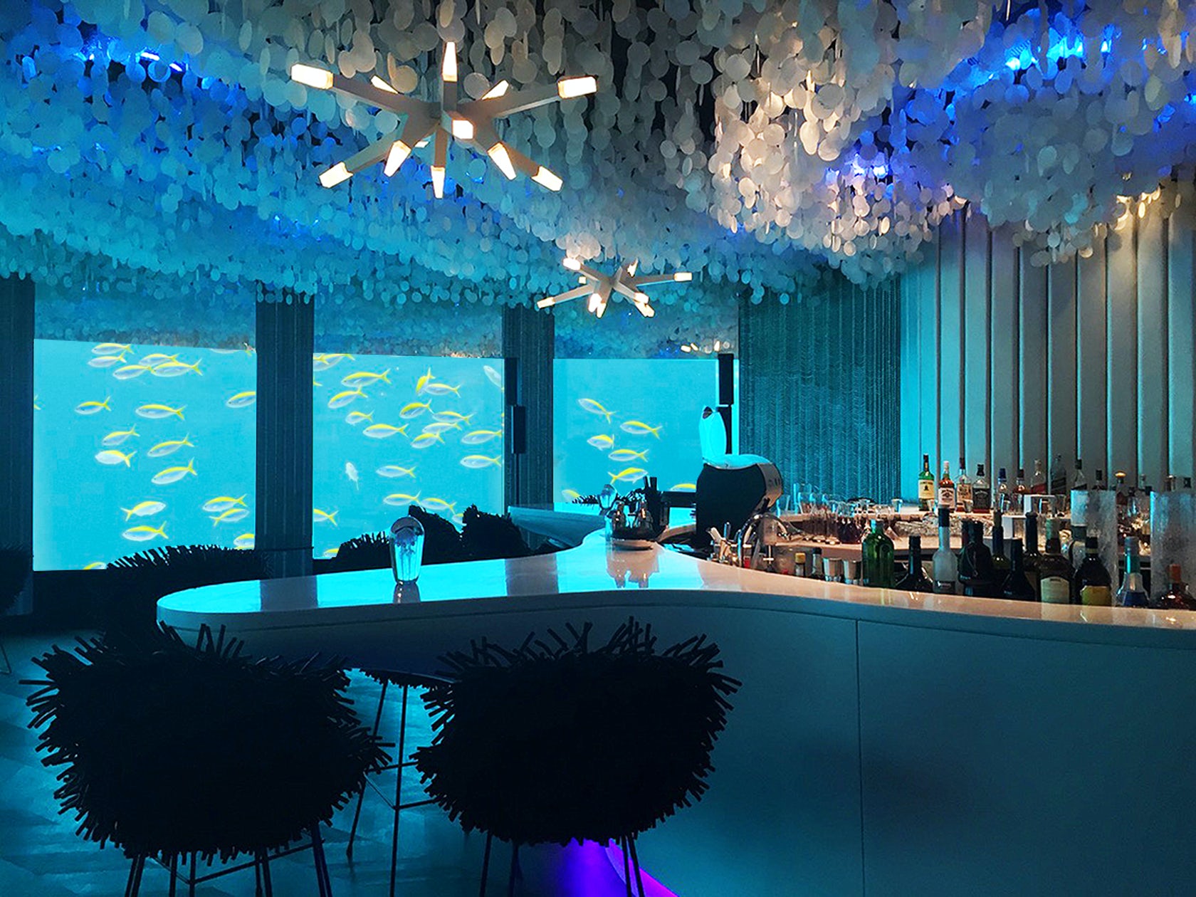 6 Underwater Restaurants To Visit In The Maldives In 2024   Maldives6 