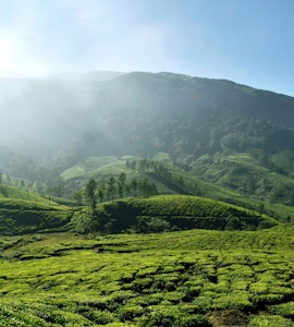 Kerala Hill Views