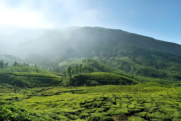 Kerala Hill Views