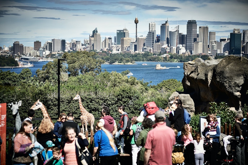 Sydney city view from Taronga Zoo