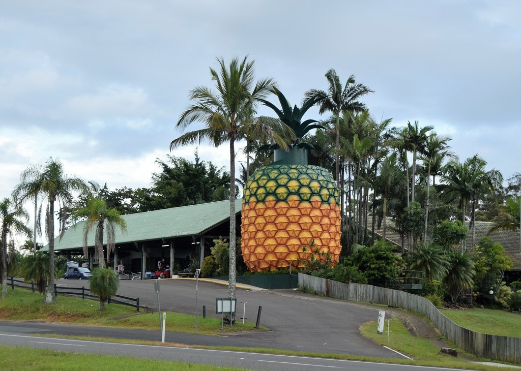 The big pineapple where music concerts happen