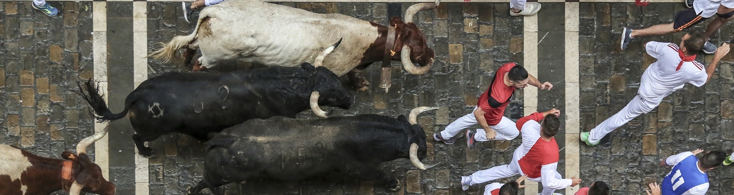 San Fermin- bull racing in Pamplona