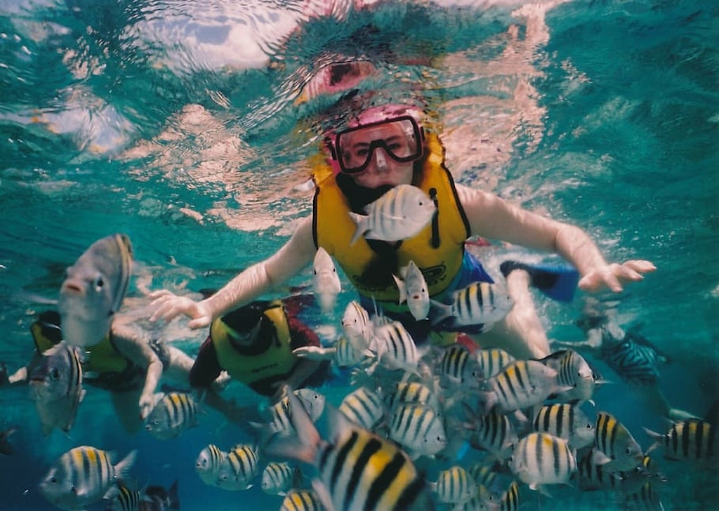 Snorkeling experience in Andaman