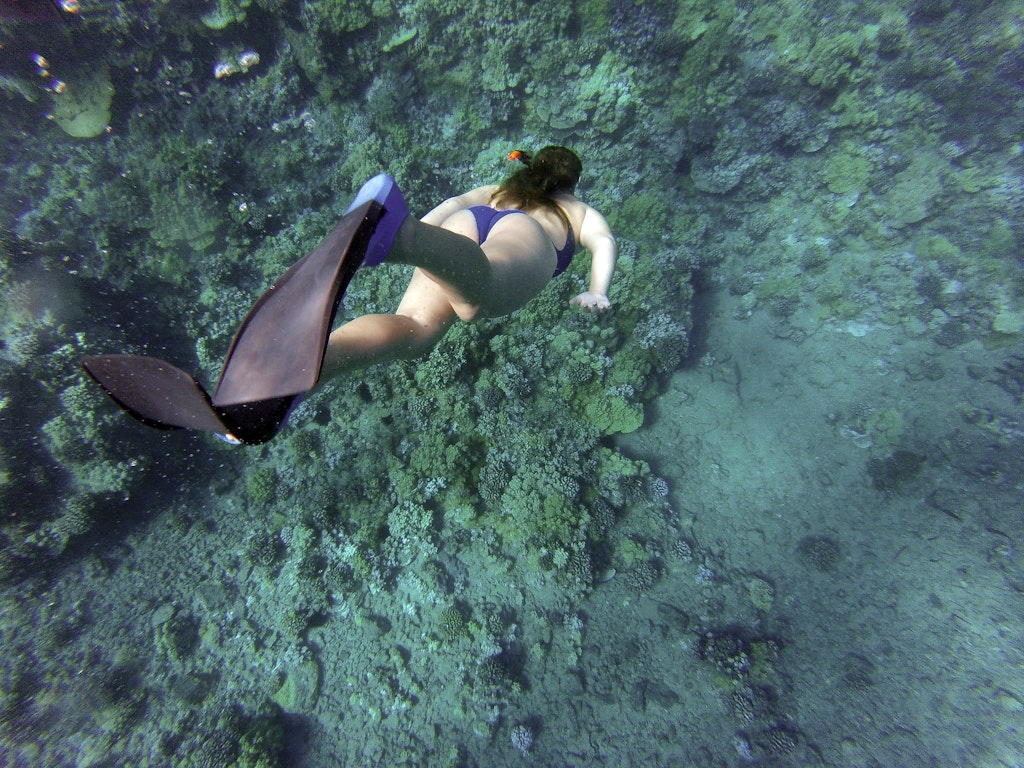 Scuba Diving at Seychelles