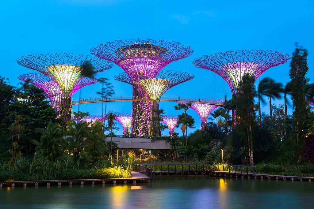 Super Trees, Gardens By the bay singapore