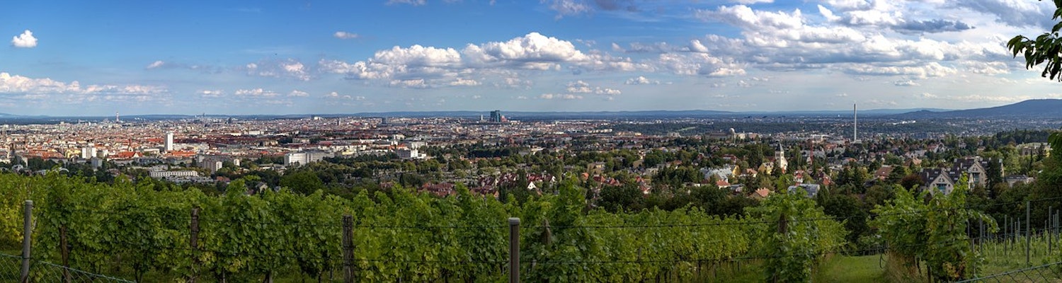 Panoramic view of Vienna