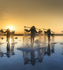 vietnam salt harvesting