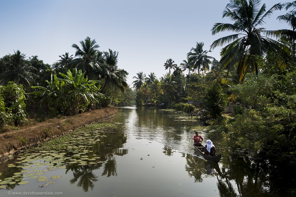 Backwaters in Kochi