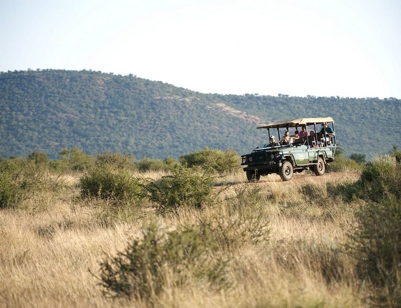 Game drive at Madikwe Private Game Reserve, North West, South Africa