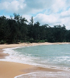 Similajau National Park