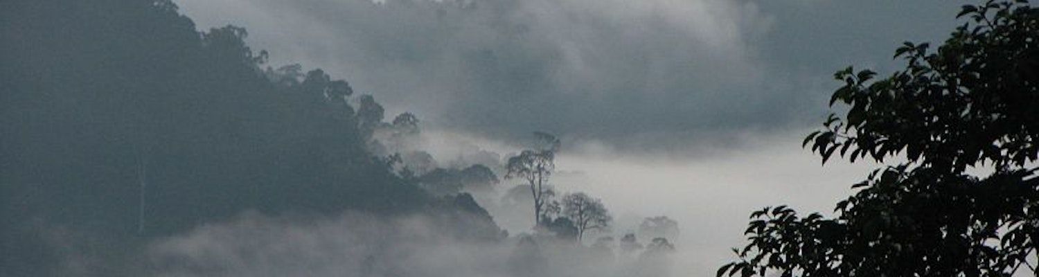 Danum Valley in Borneo