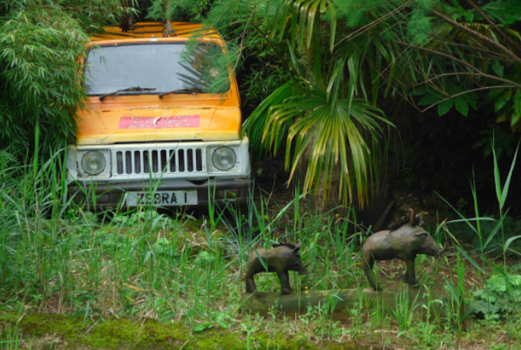 Jeep Ride in Kerala
