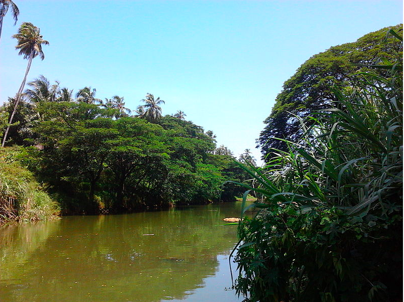 Karamana River is one of the tourist places to visit in Kovalam