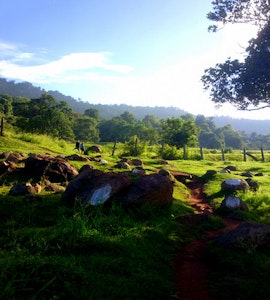 Landscape picture of yelagiri hillstation