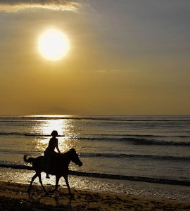 horse riding during sunrise