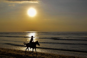 horse riding during sunrise
