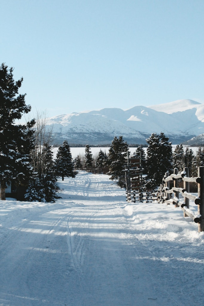 A picture of land capped with white snow in Whitehorse