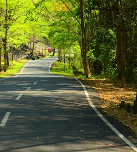 Offbeat road in Kerala