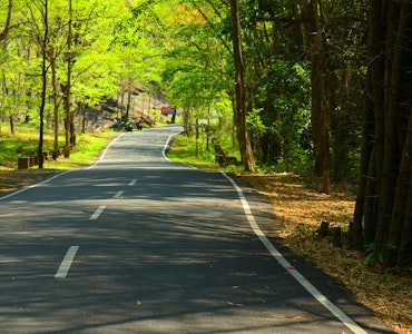 Offbeat road in Kerala
