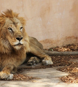 Jaipur Zoo