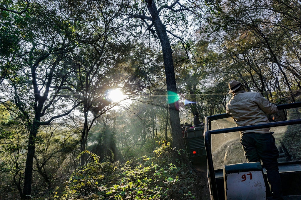 Top things to do in Ranthambore