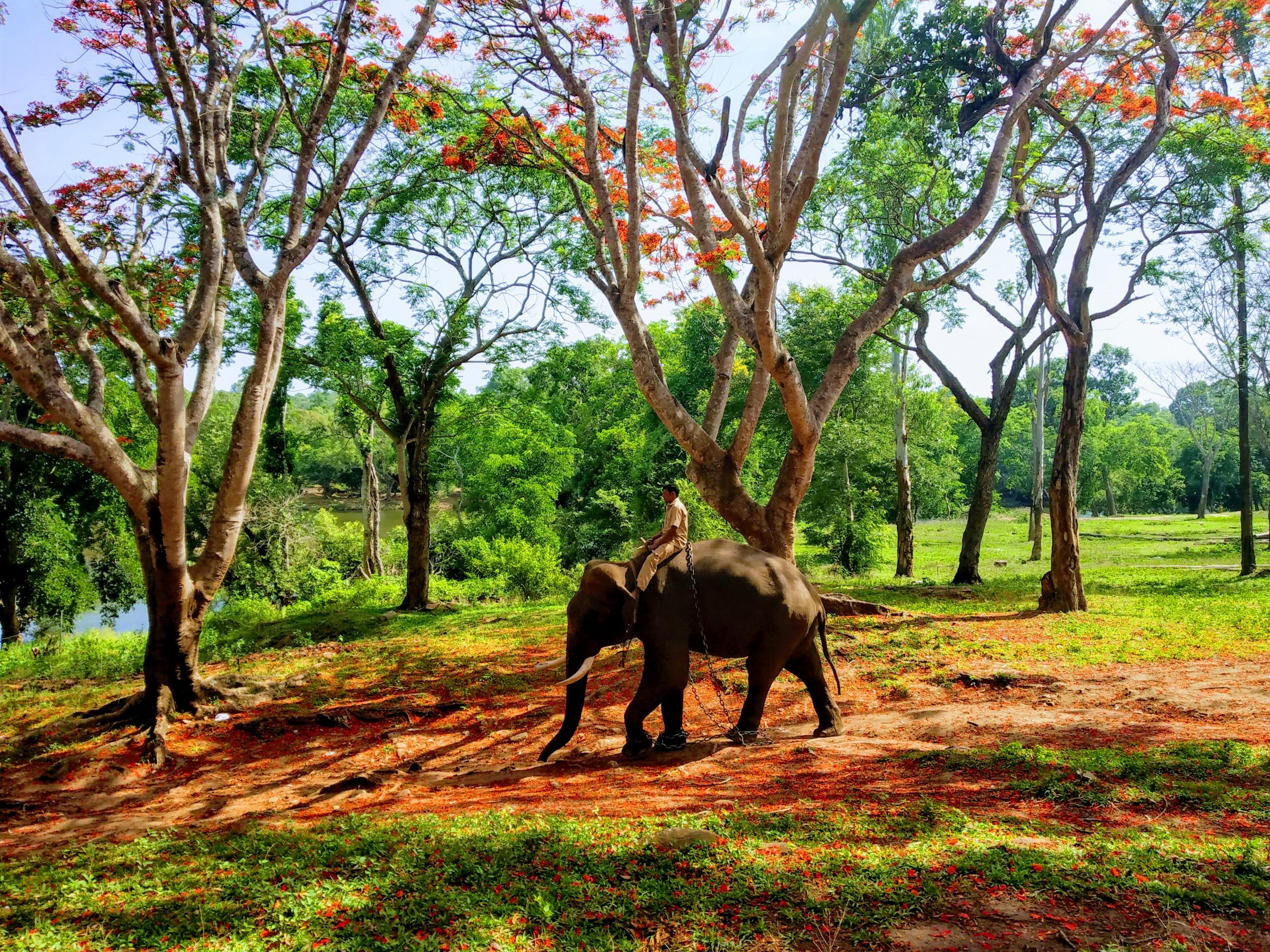 Places To Visit In Coorg - The Best Way To Explore The Scotland Of India