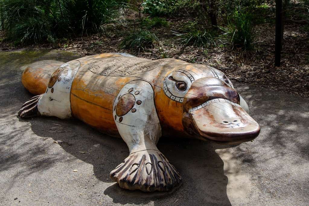 A wooden sculpture of a Platypus from the National zoo and aquarium.