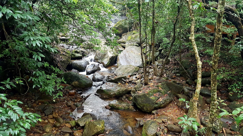 A picture of a waterfall in Wayanad