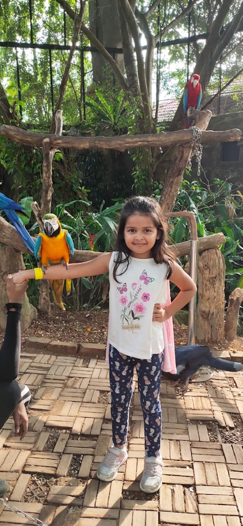 Little one posing with the parrot during our family vacation to Singapore