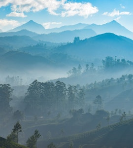 Misty hill view of Munnar