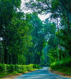 Places to visit in Coorg