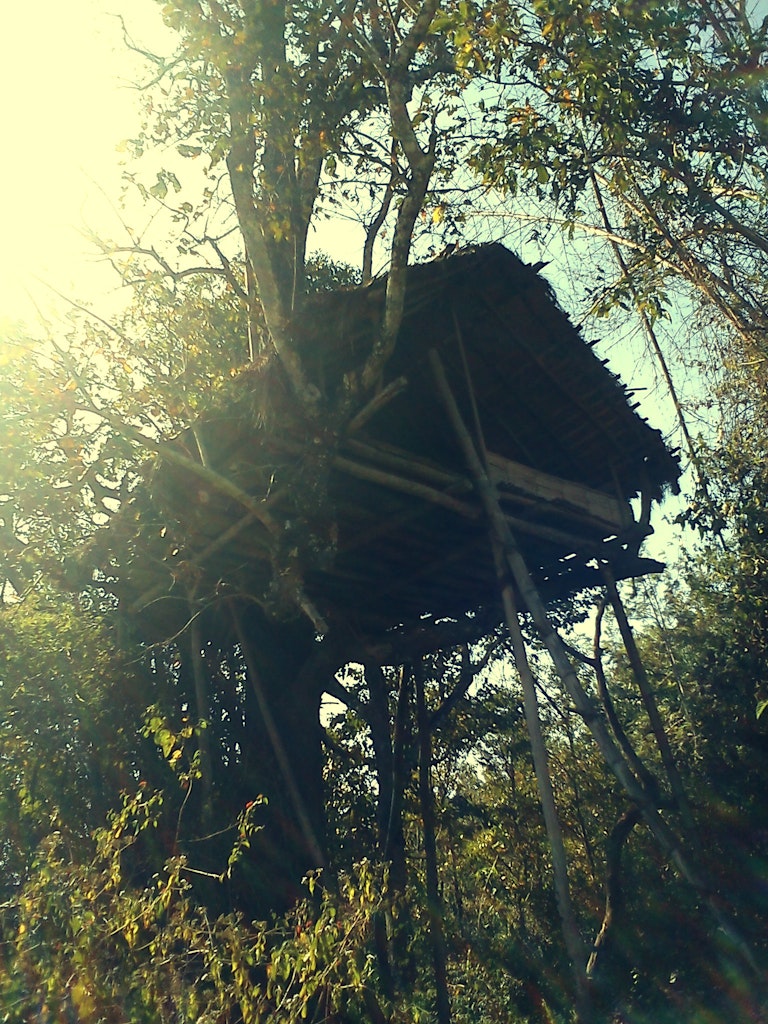 A Treehouse in Wayanad in Kerala