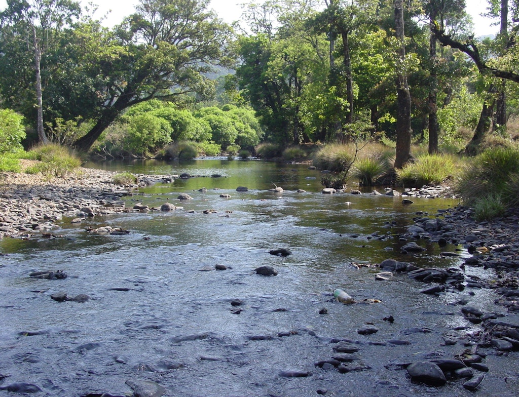 Bhadra River