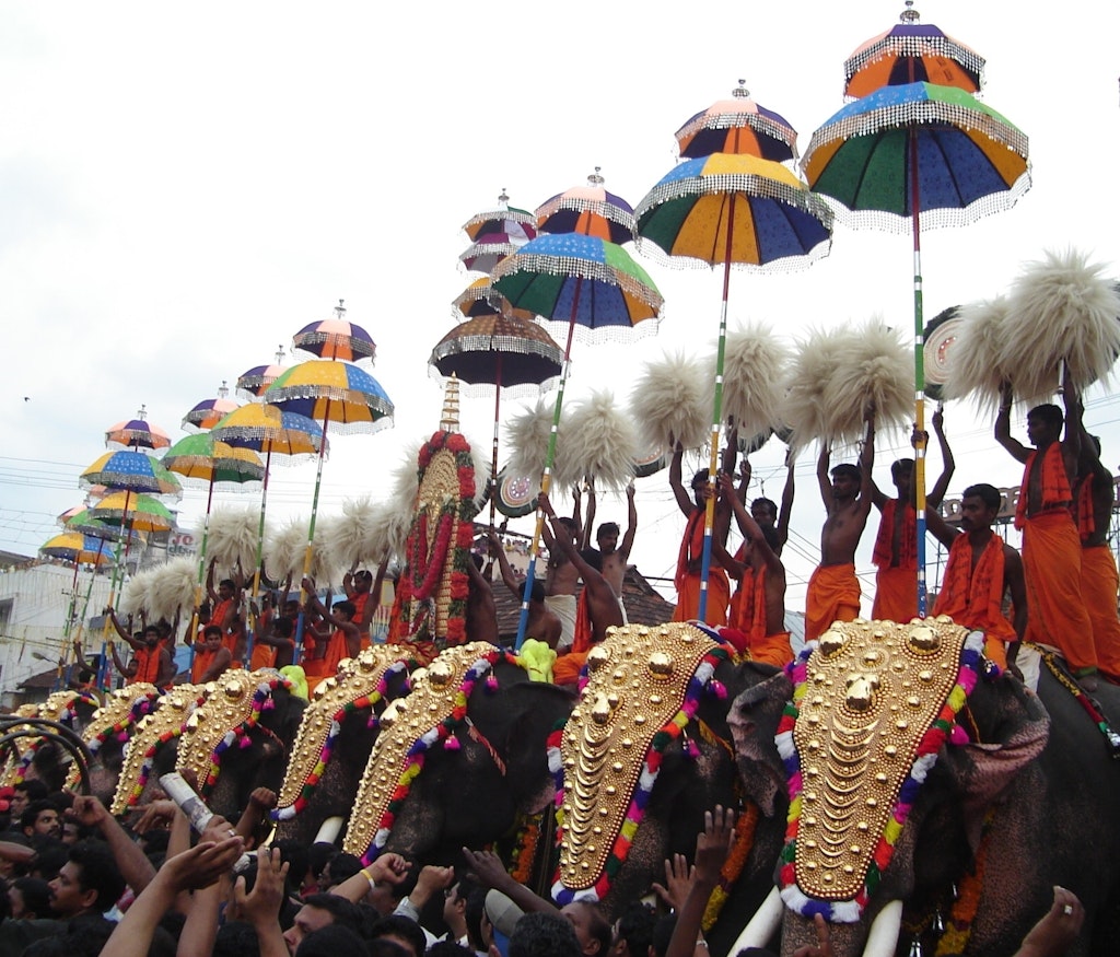 Majestic elephants at Thrissur Pooram in Kerala