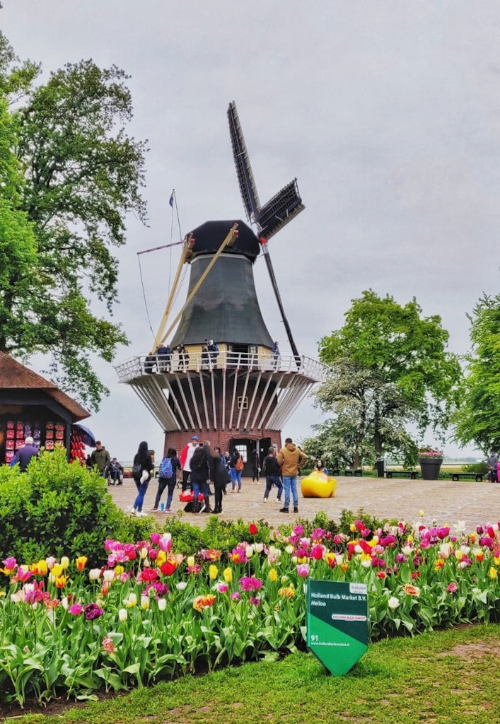 A picture that was taken in the Netherlands, on a happy vacation