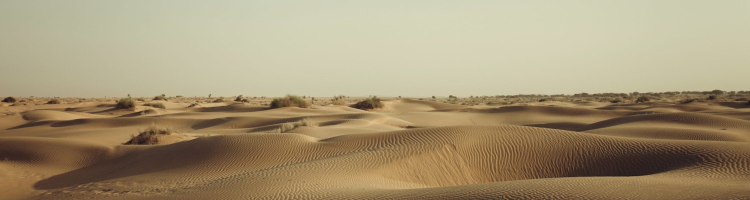 Desert in Rajasthan